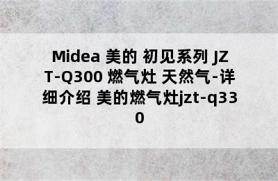 Midea 美的 初见系列 JZT-Q300 燃气灶 天然气-详细介绍 美的燃气灶jzt-q330